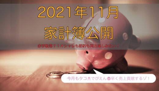 2021年11月の家計簿〜ふるさと納税でお得に納税を〜