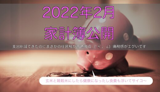 2022年2月の家計簿〜住民税が重くのしかかった月でした〜