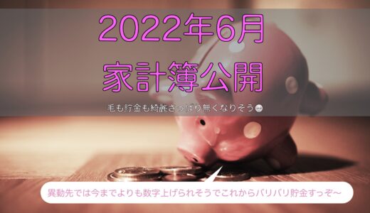 2022年6月の家計簿〜脱毛で家計は大赤字🔥〜