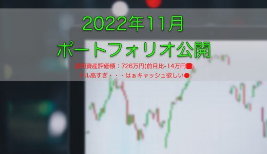 【米国ETF】2022年11月ポートフォリオ公開【インデックス】