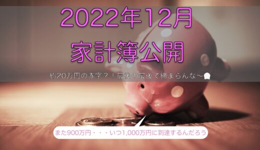 2022年12月の家計簿〜散在しすぎだろΣ＼(￣Д￣;）～