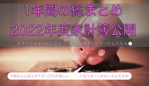 【2022年】年間収支総まとめ【家計簿大公開】