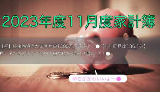 2023年11月の家計簿〜可愛い甥っ子に財布が緩んだ11月でした🤤～